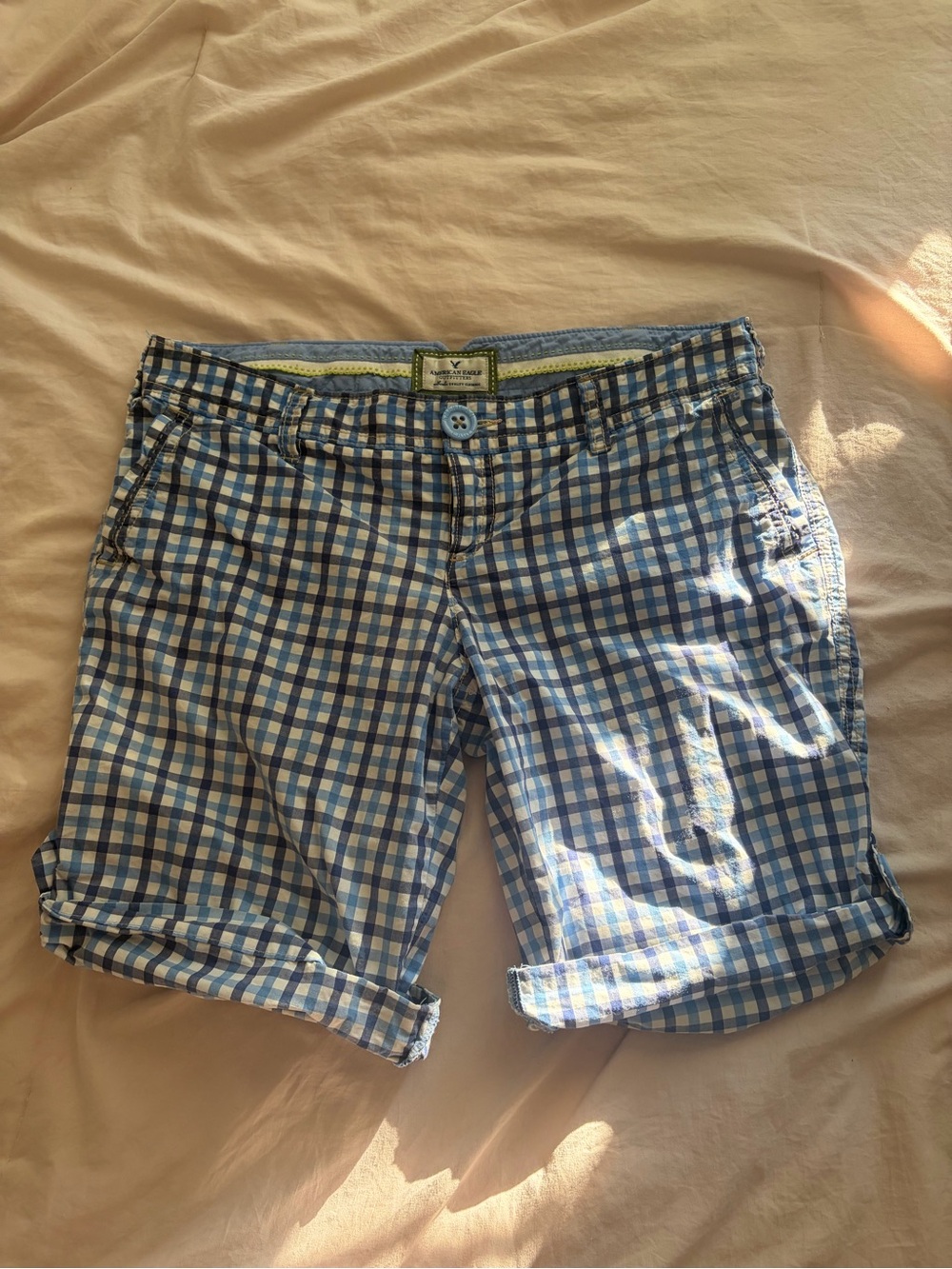 American Eagle Outfitters Blue and White Gingham Cargo Shorts